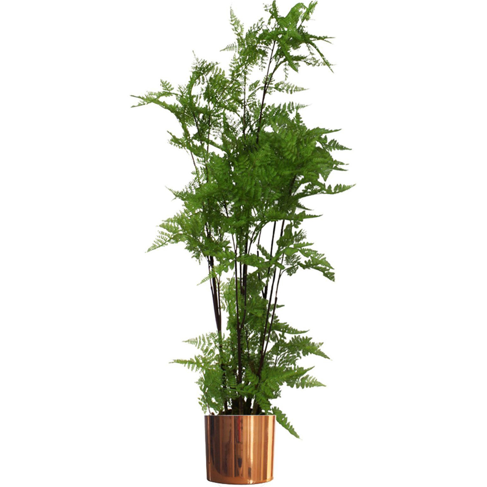 Botanik Polished Copper Finish Metal Planter 20 x 18cm Image 5