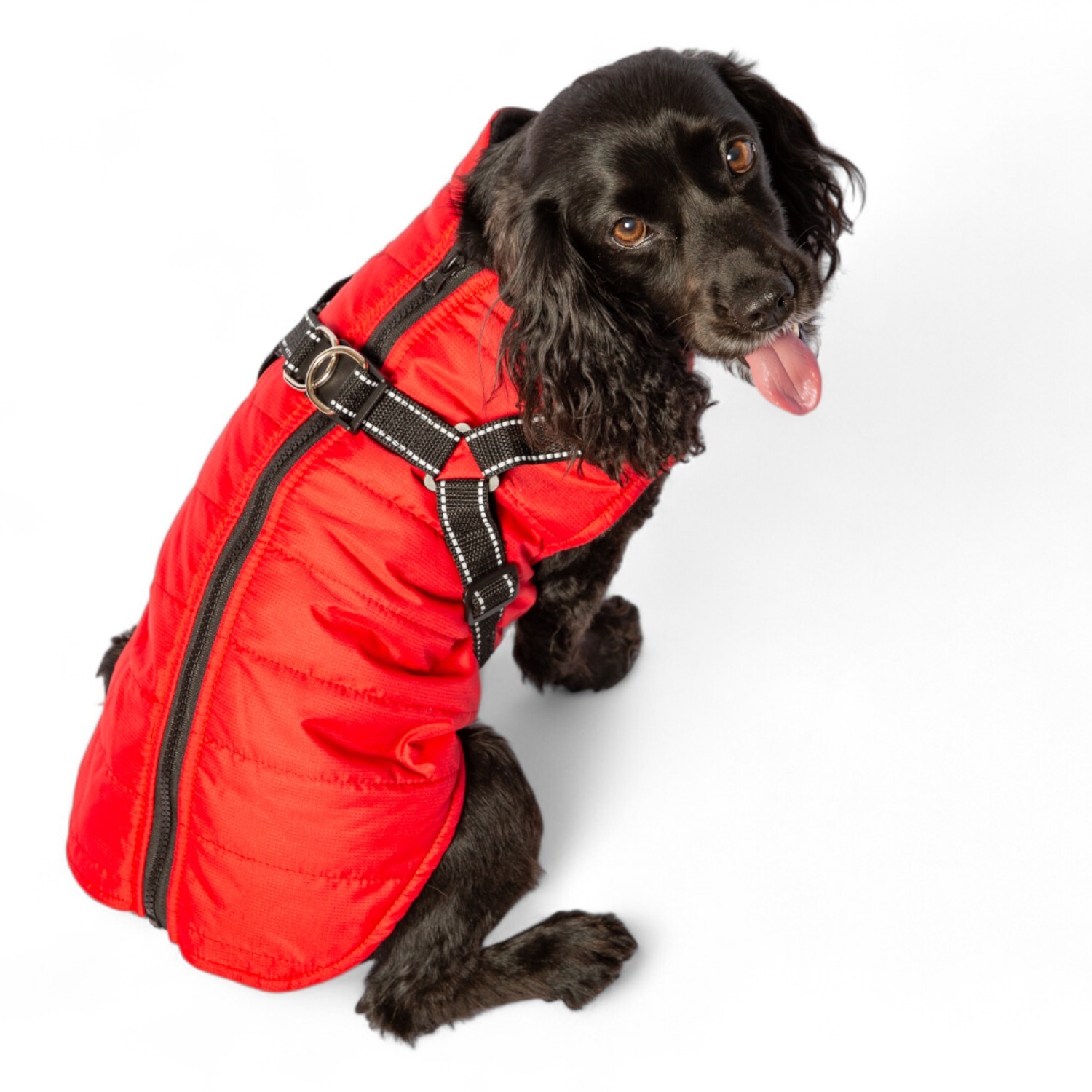 Dog Harness Jacket S Image 5