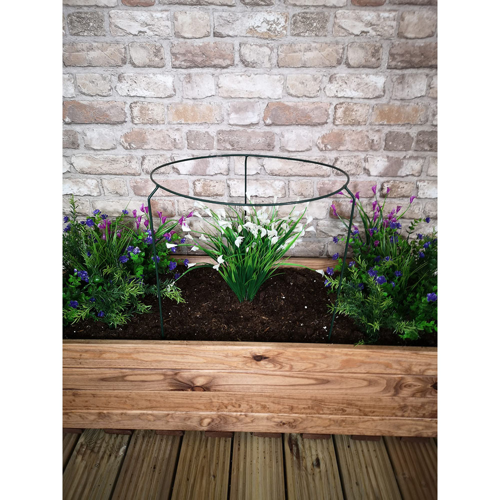 Samuel Alexander Metal Herbaceous Plant Support Ring 40 x 60cm Image 9