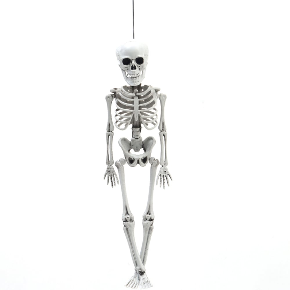 Living and Home Halloween Human Anatomy Skeleton 40cm Image 1