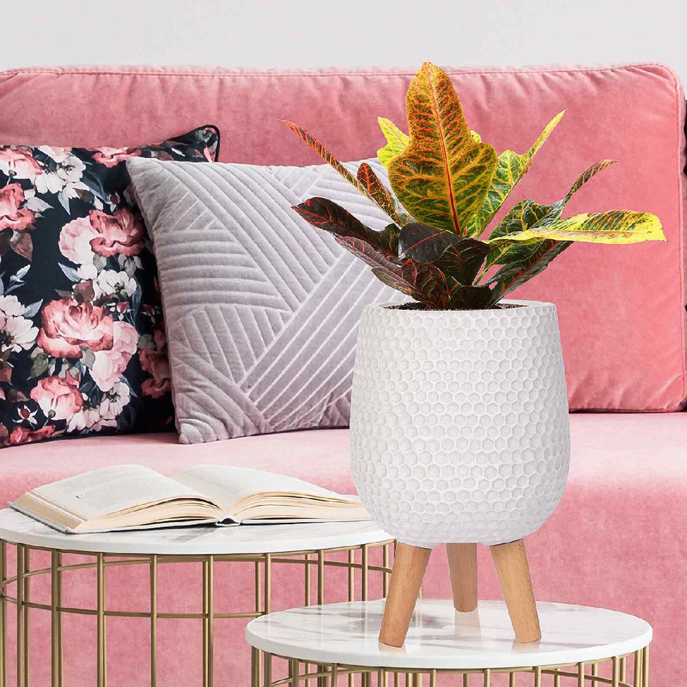 wilko Honeycomb White Indoor Plant Pot with Legs 34cm Image 5