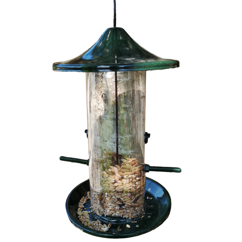 Samuel Alexander Oriental Nyjer Seed Bird Feeder Image 1
