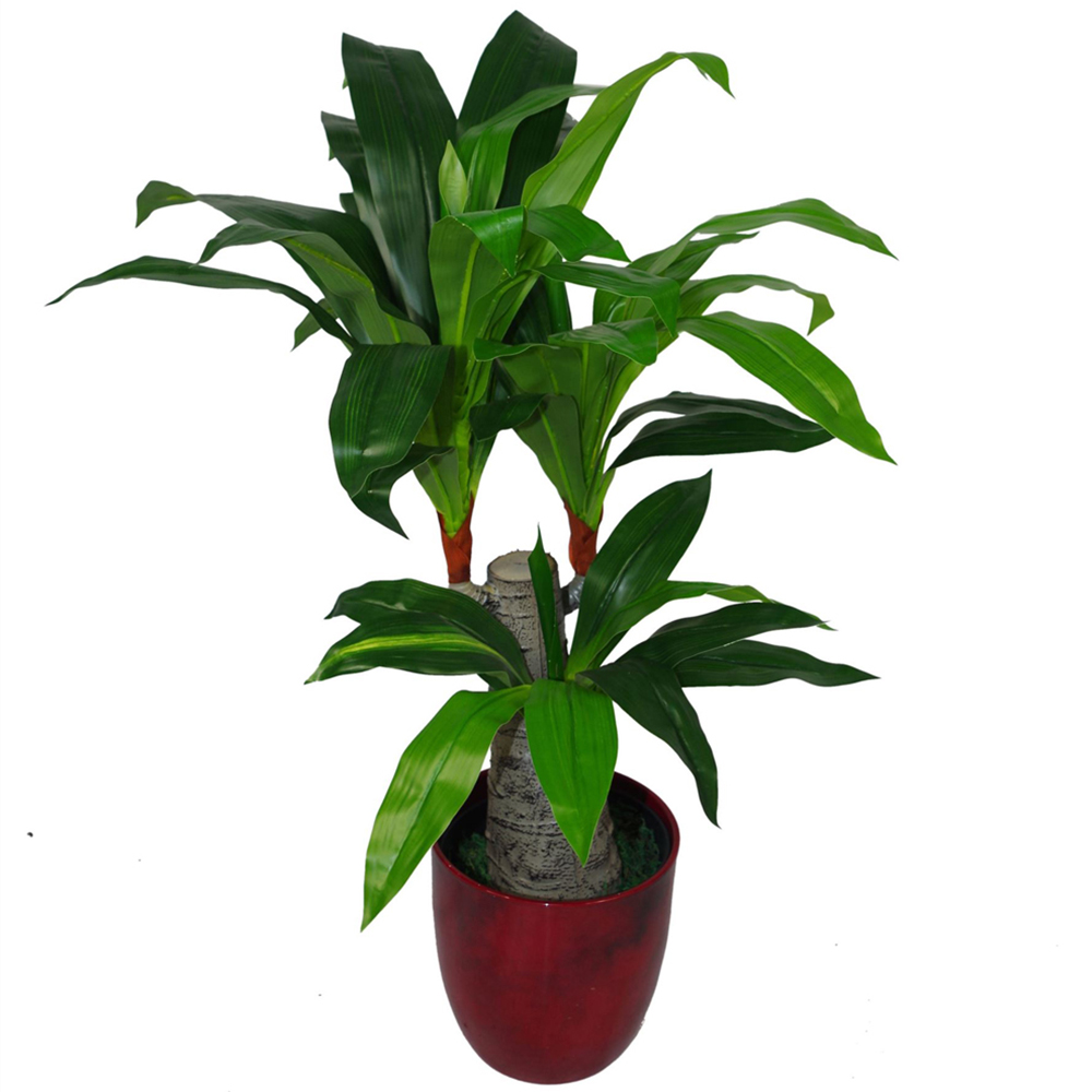 Leaf Artificial Dracaena Plant 75cm Image 1