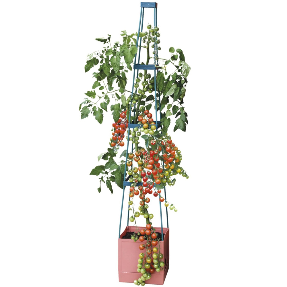 Garden Gear 4 Tier Self Watering Tomato Tower Image 1