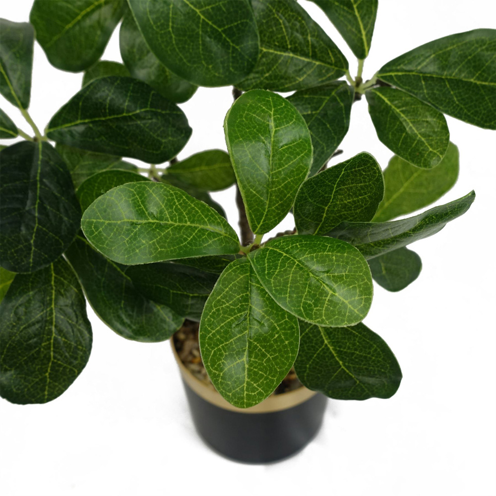 Leaf Tropical Bonsai Ficus Artificial Tree 60cm Image 2