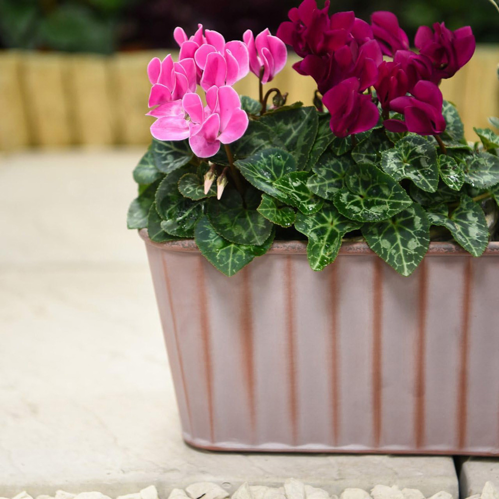 Garden Gear Effect Rust Trough Metal Planter 38cm 3 Pack Image 3