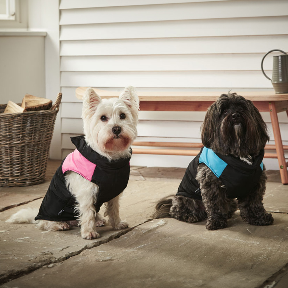 Bunty Extra Large Pink Dog Puffer Jacket Image 4