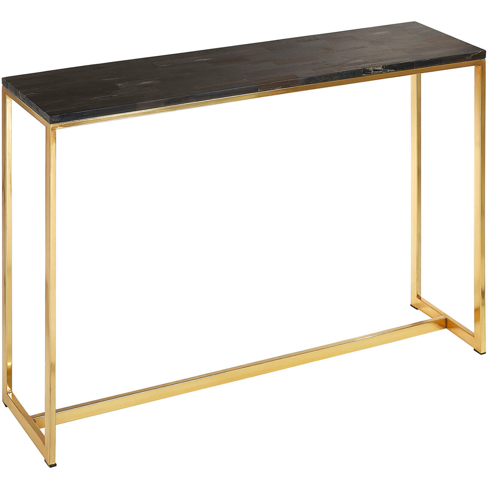 Premier Housewares Relic Dark Petrified Wood Console Table Image 2