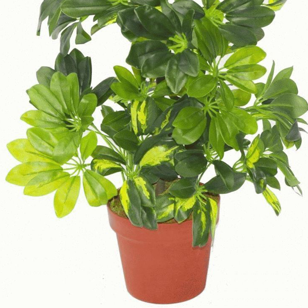 Botanik Gold Capella Umbrella Artificial Plant in Pot 2.5ft Image 2