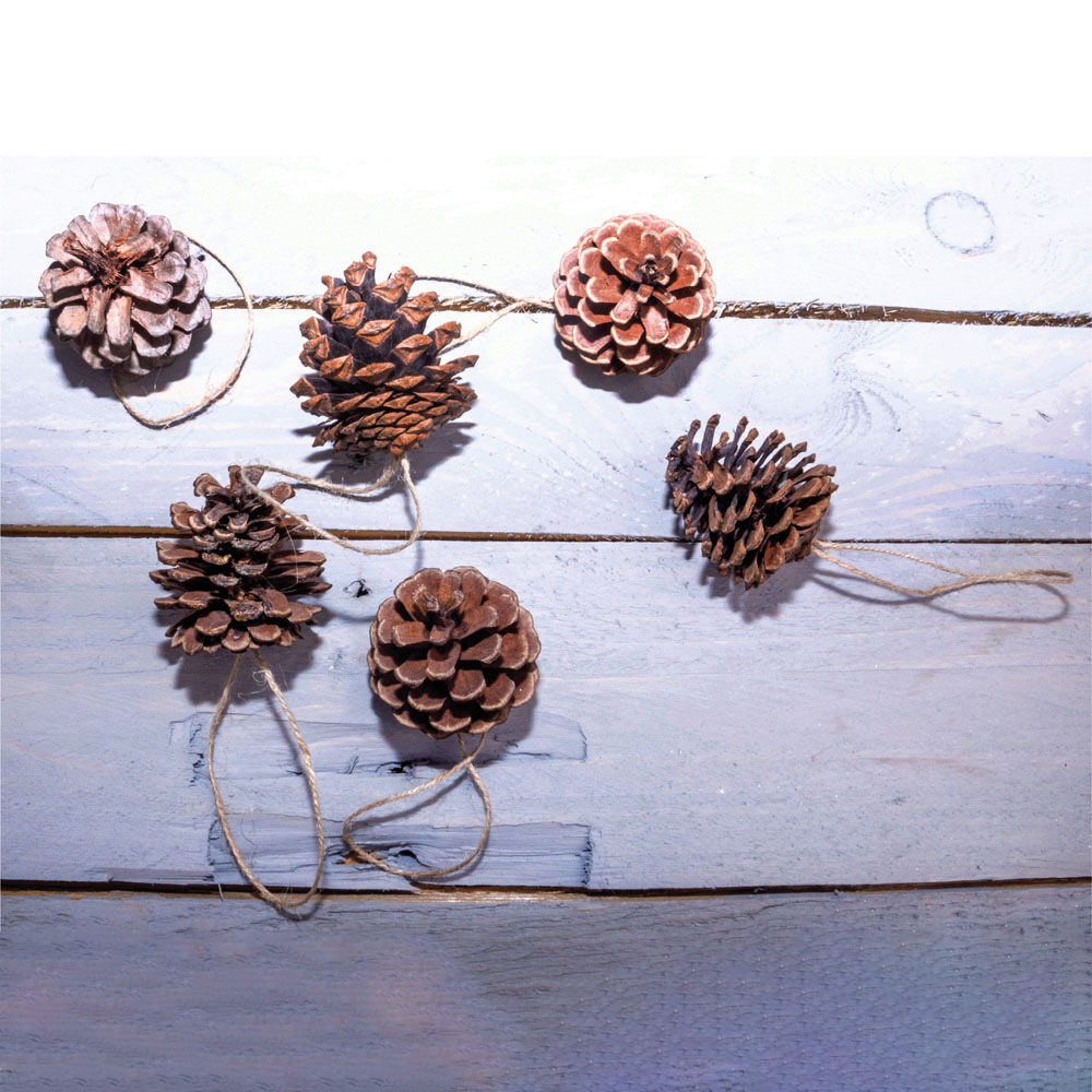 St Helens Brown Hanging Pinecones Ornaments 6 Pack Image 4