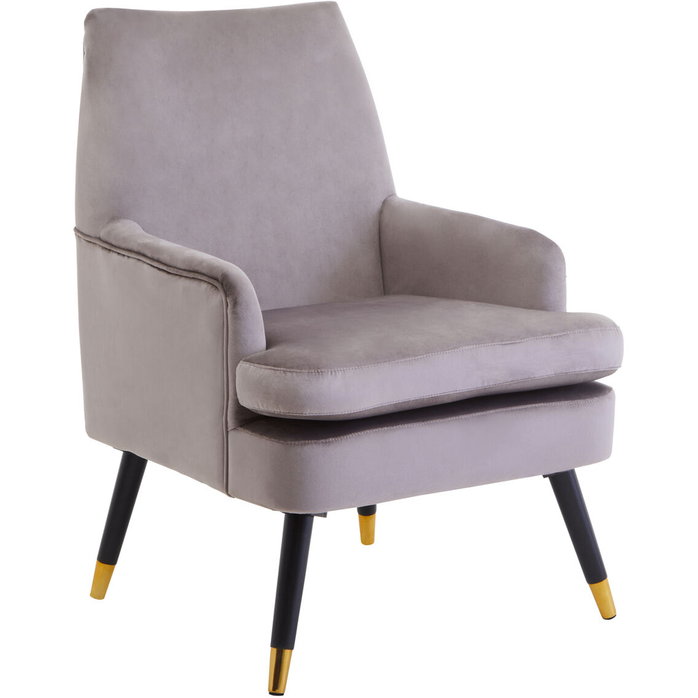 Premier Housewares Loretta Mink Velvet Accent Chair with Black Wooden legs Image 2