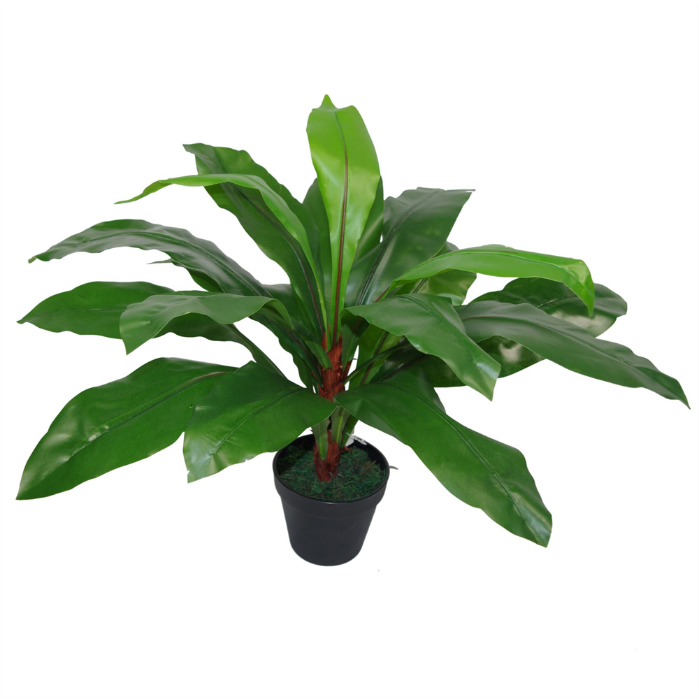 Botanik Bird Nest Fern Artificial Plant in Pot 60cm Image 3