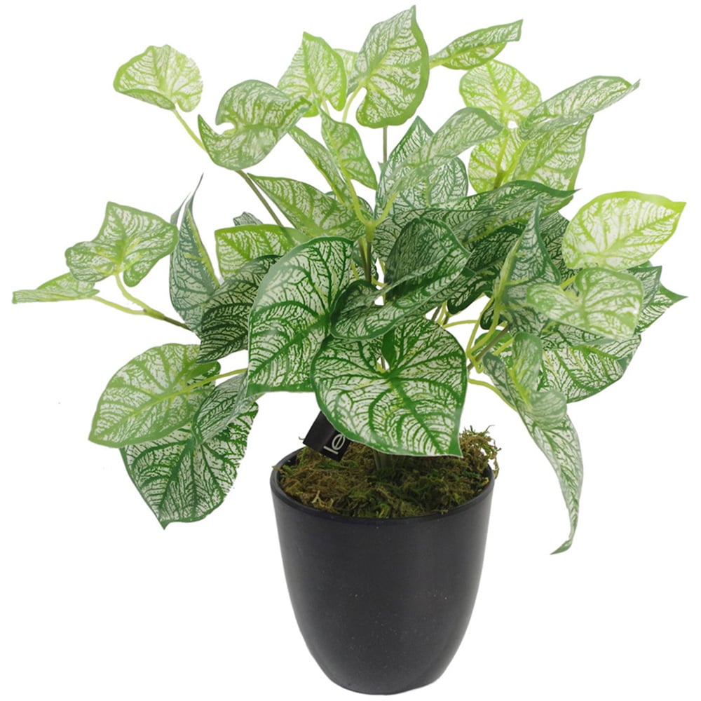 Leaf Caladium Foliage Artificial Plant Pot 40cm Image 1