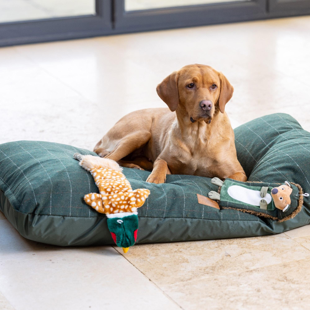 House of Paws Small Medium Green Tweed Cushion Dog Bed Image 2
