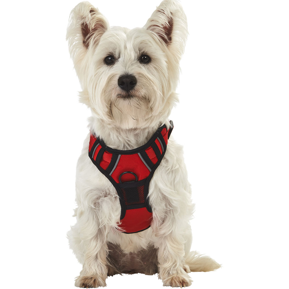 Bunty Adventure Small Red Harness Image 6