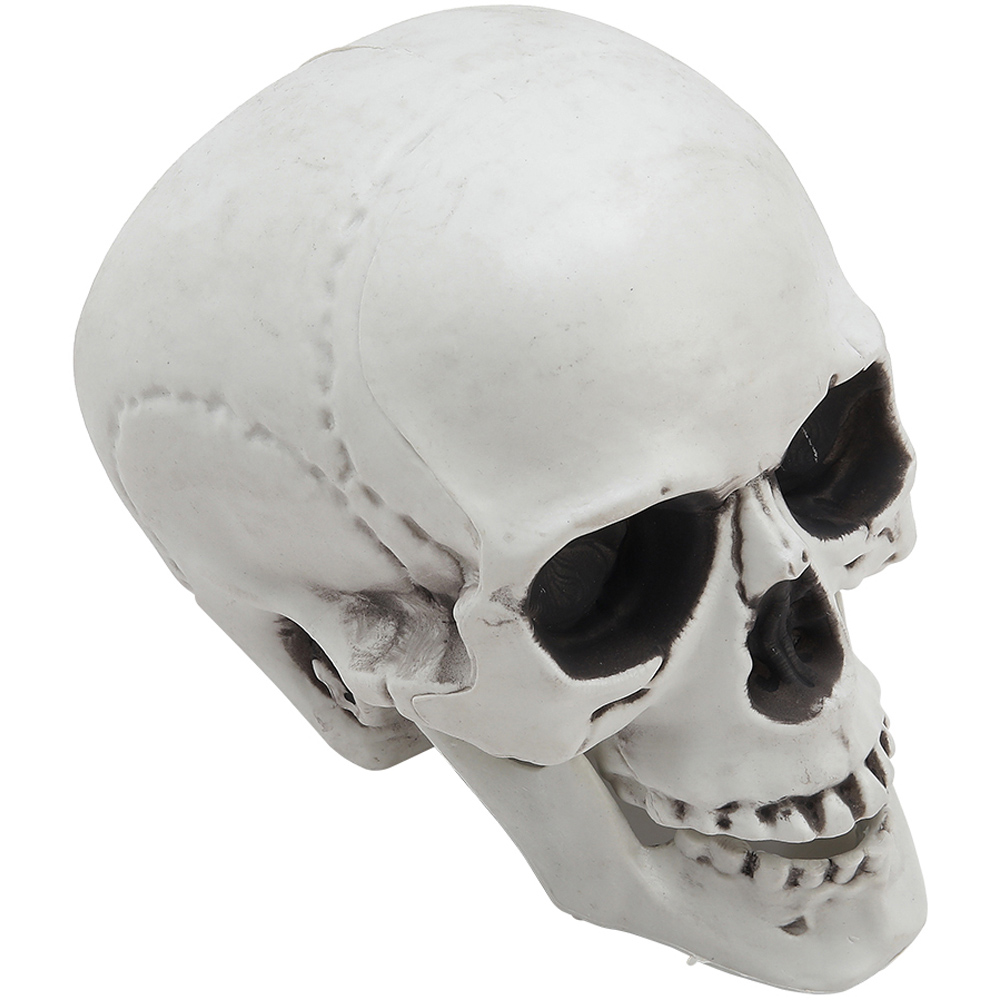 Living and Home Halloween Realistic Tabletop Skull 22cm Image 3