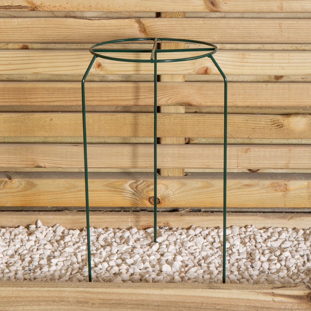 Samuel Alexander Dark Green Metal Herbaceous Plant Support 40 x 20cm Image 6