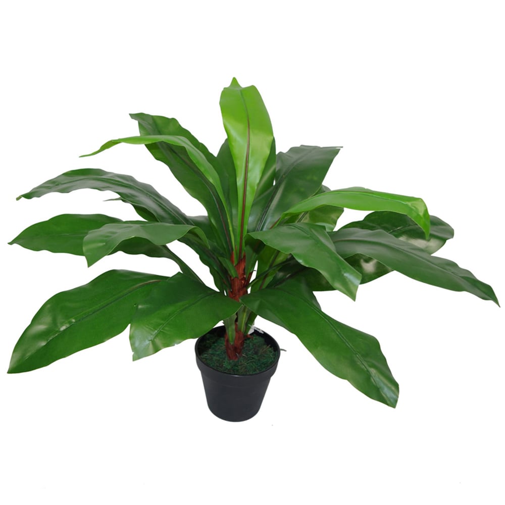Leaf Birds Nest Fern Artificial Plant in Pot 60cm Image 1