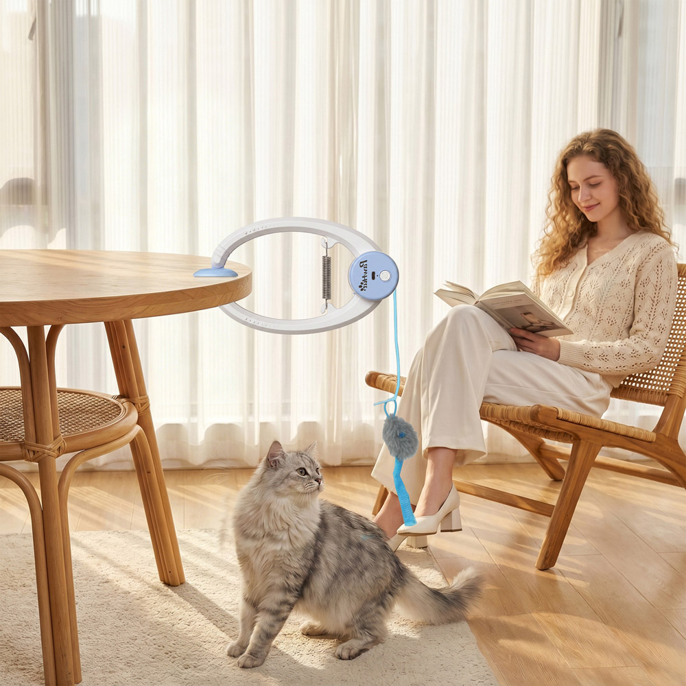 PawHut Interactive Door Hanging Automatic Cat Toy Mouse and Teaser Image 4