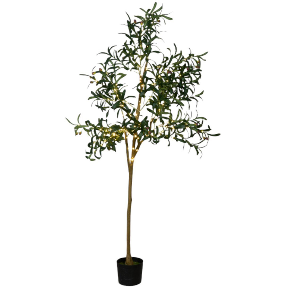 XL LED Olive Tree Green Image 1