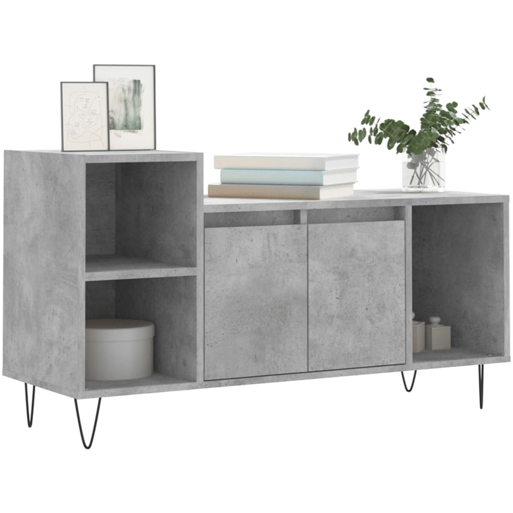 vidaXL 2 Door 3 Shelf Concrete Grey TV Cabinet Image 3