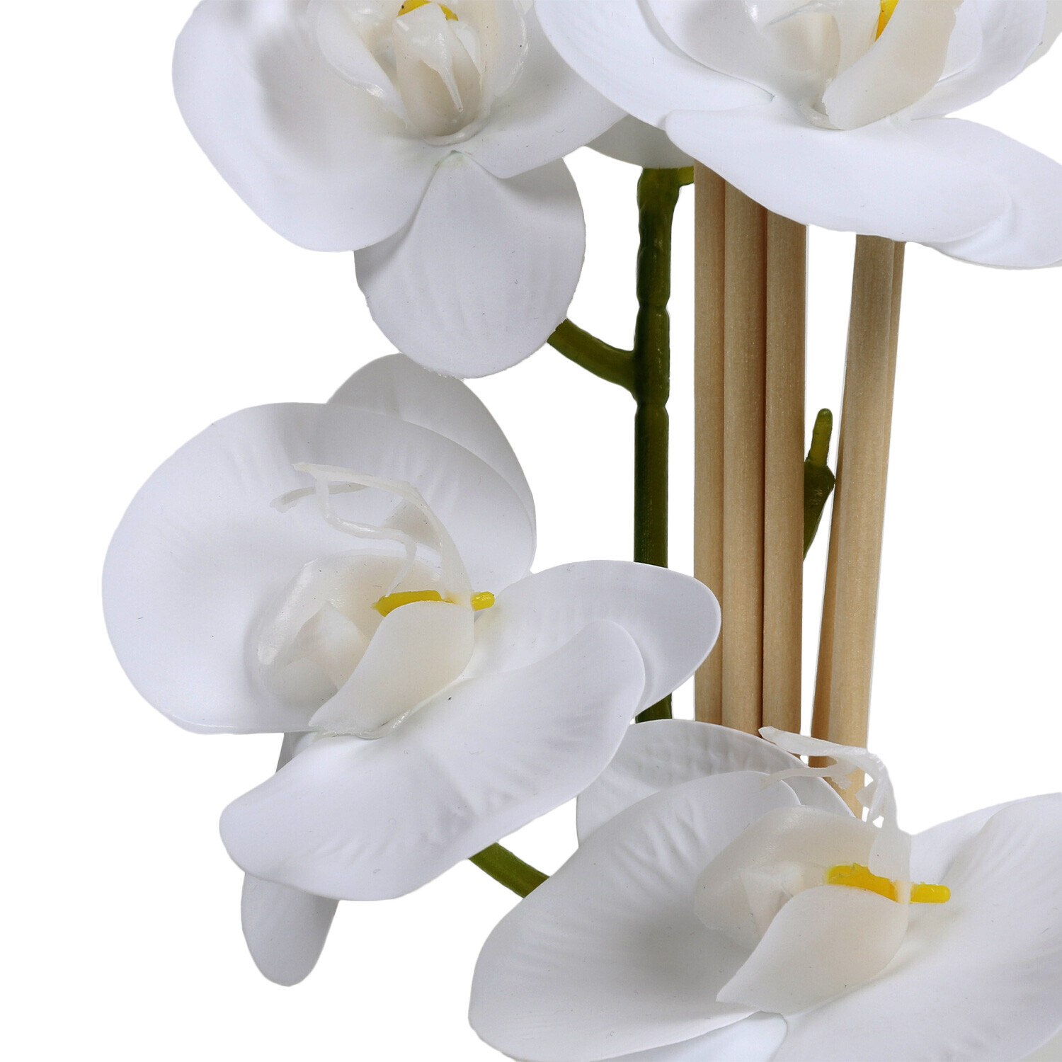 Black Oud Orchid Reed Diffuser Image 2