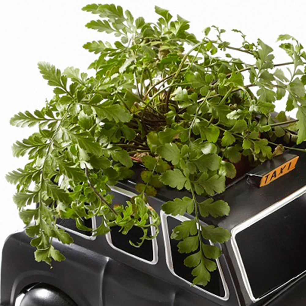 Arboria Garden Decor Black London Taxi Planter 40cm Image 3