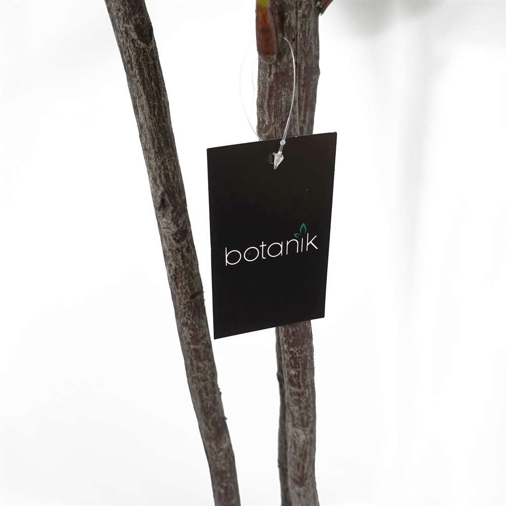 Botanik Fiddle Fig Artificial Tree in Pot 5ft Image 2