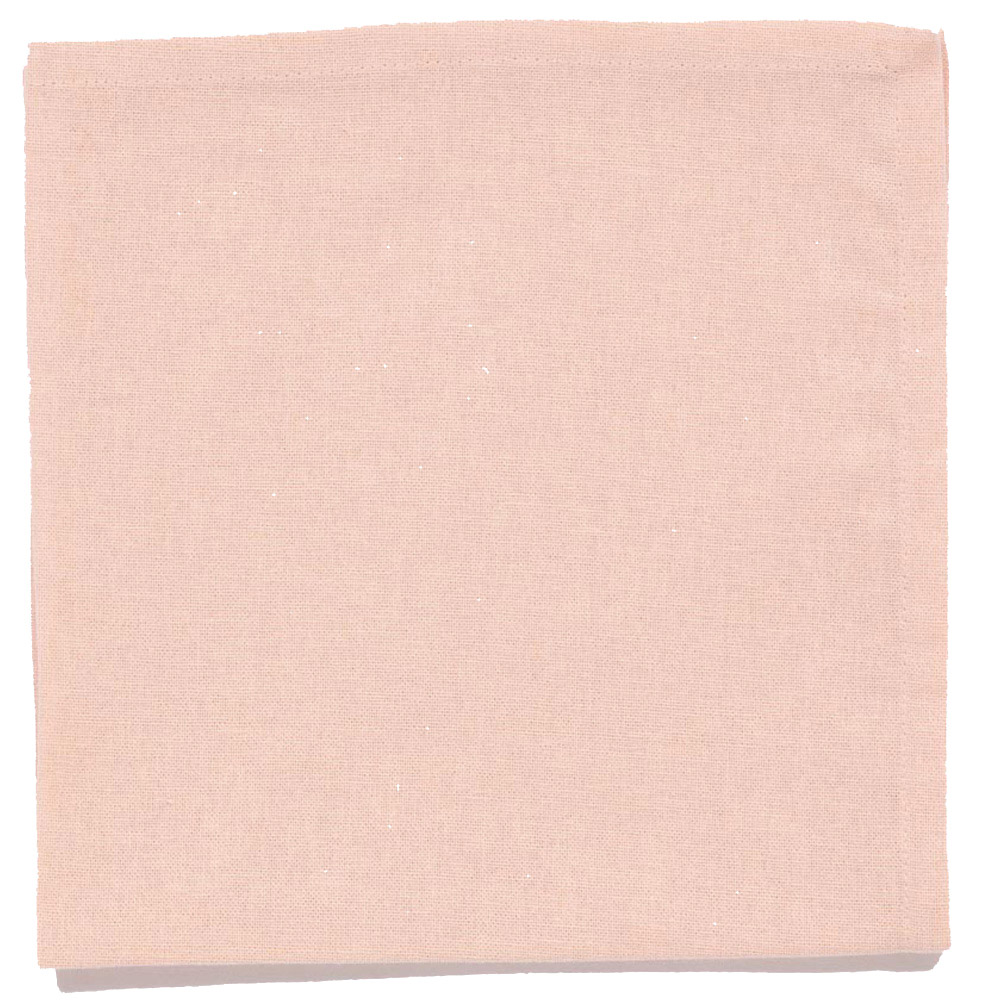 AVON Blush Cotton Napkins 45 x 45cm 2 Pack Image 1