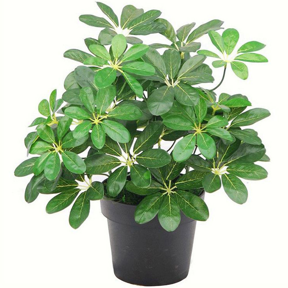 Leaf Arboricola Bush Small Artificial Plant Pot 55cm Image 1