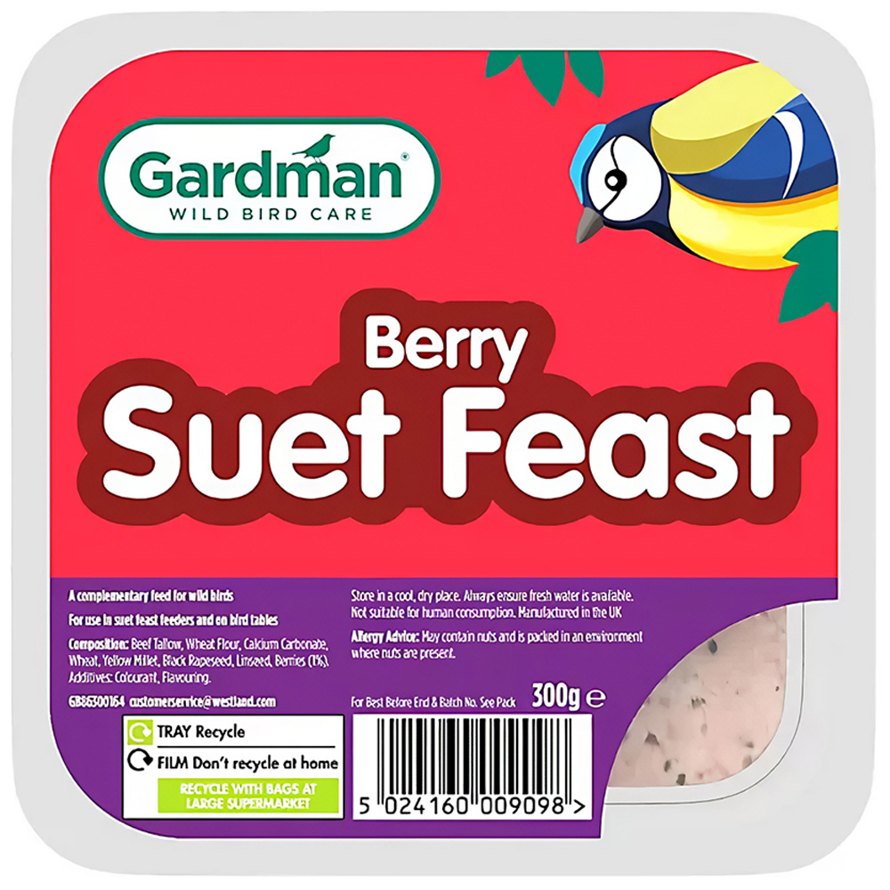 Gardman Wild Bird High Energy Berry Suet Feast Block Triple Pack Image 1