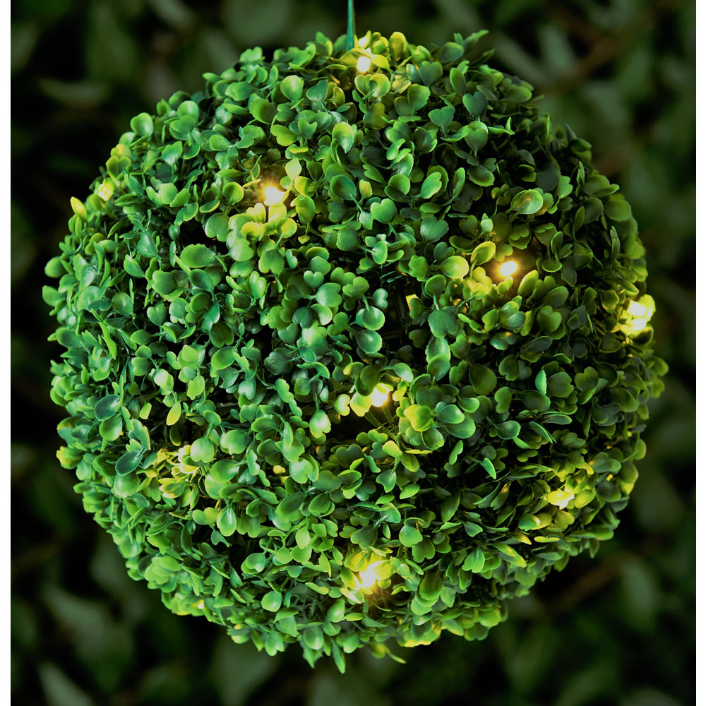Wilko 20 Topiary Ball LED Solar Lights Image