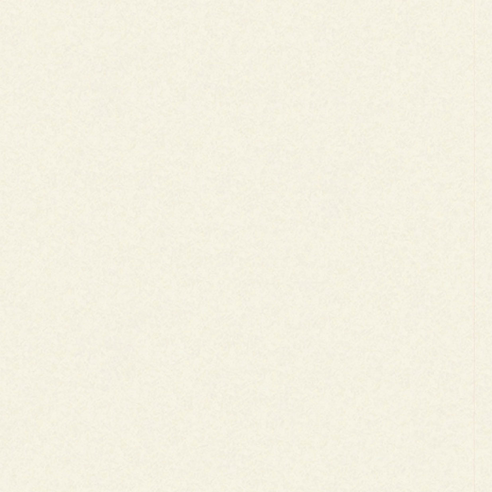 Wetwall Mermaid Tongue and Groove White Frost Plywood Shower Panel 2420 x 880mm Image 4