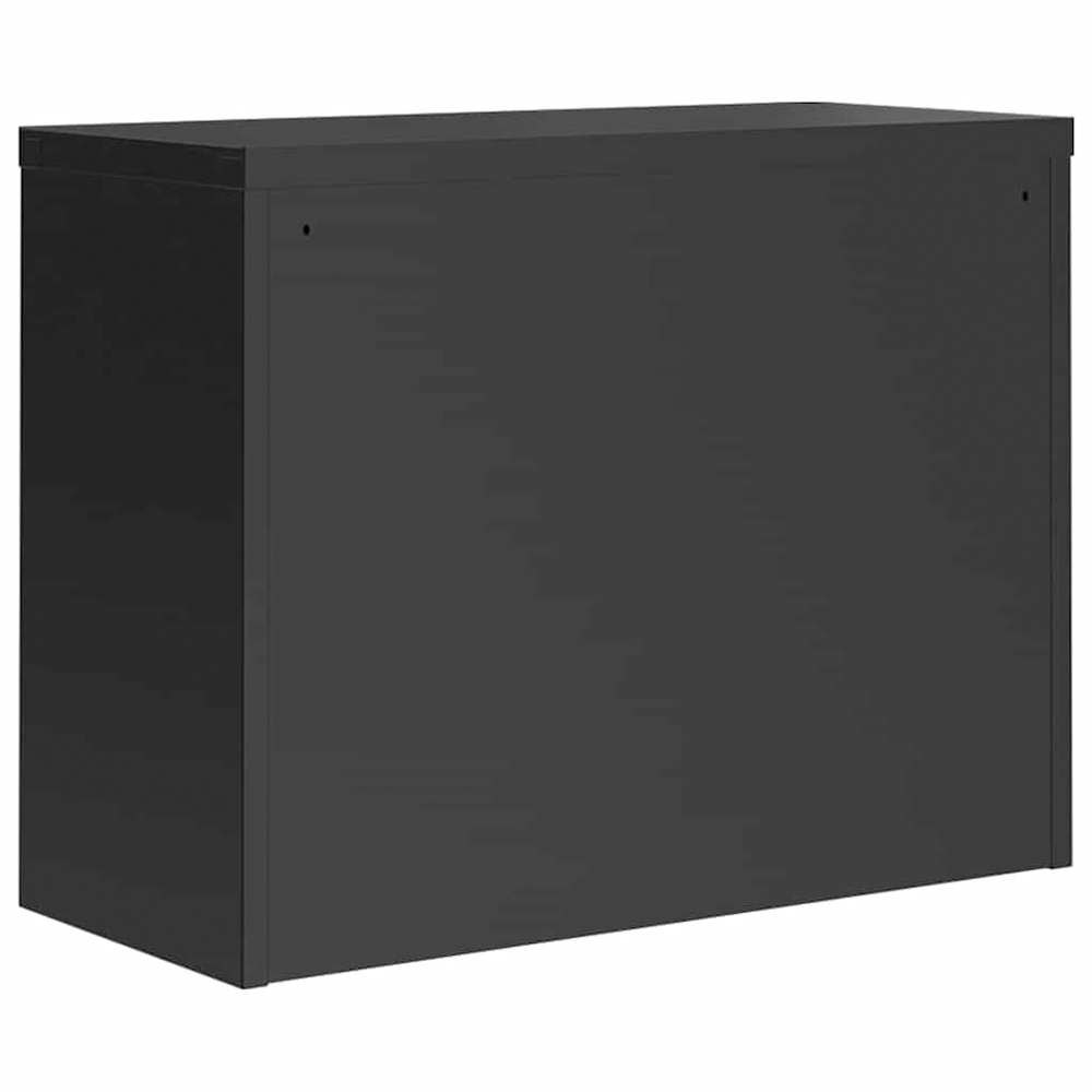 vidaXL 2 Door Black Metal Lockable File Cabinet Image 6