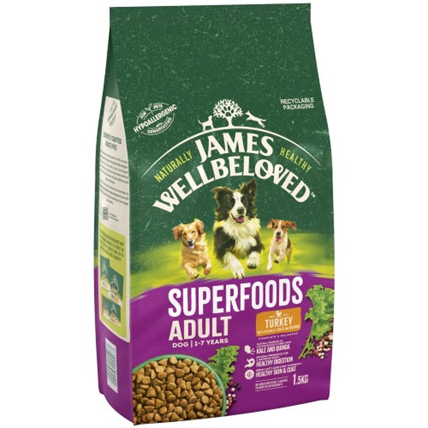 James Wellbeloved Turkey with Kale and Quinoa Dry Dog Food 1.5kg Image 2