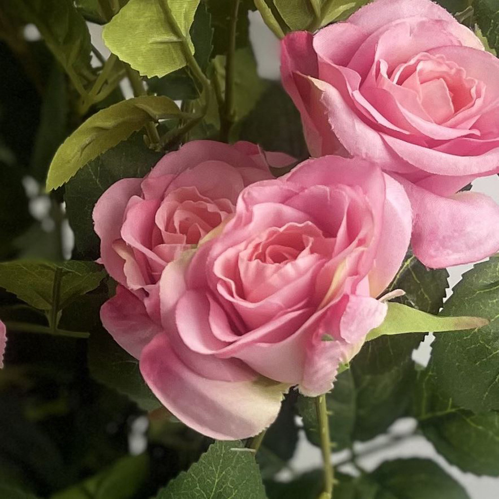 Botanik Rose Bush Artificial Tree in Pot 60cm Image 2