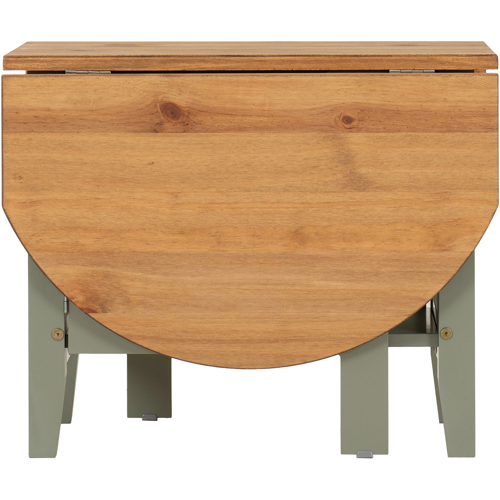 Seconique Santos Single Shelf Drop Leaf Green Distressed Waxed Pine Coffee Table Image 4