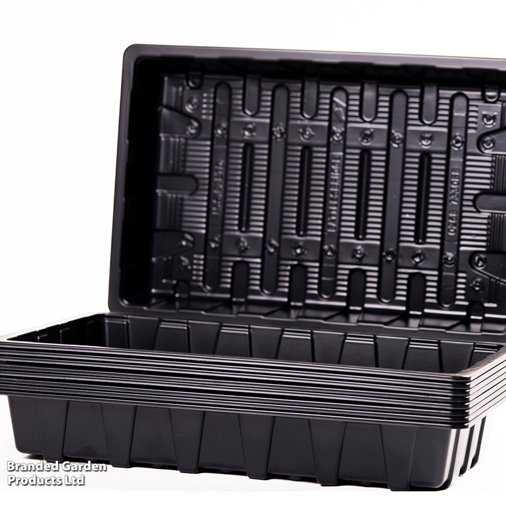 Thompson & Morgan Green Seed Plastic Tray 37.5 x 23 x 6cm Image 4