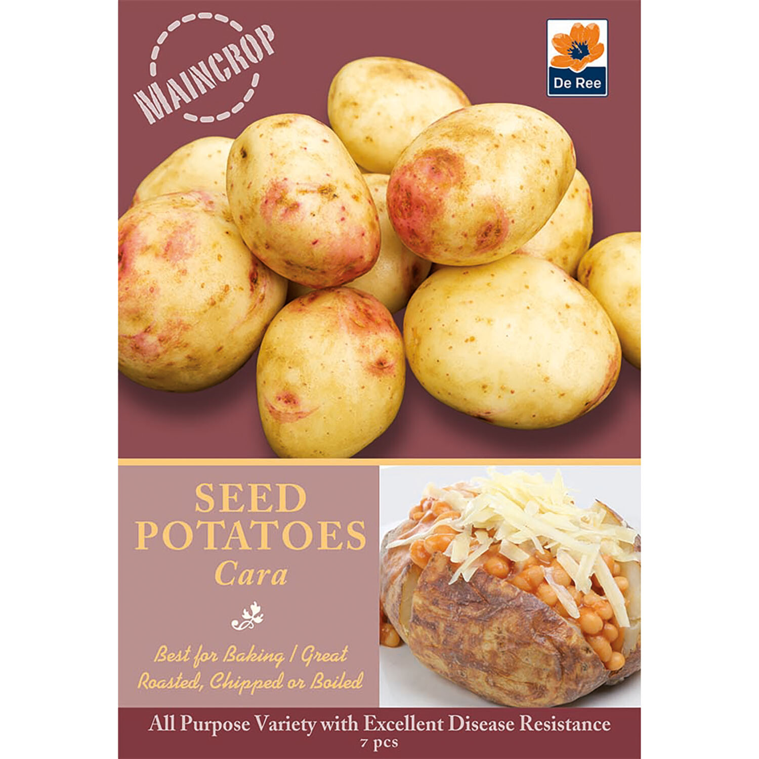 De Ree Seed Potatoes - Brown Image 9