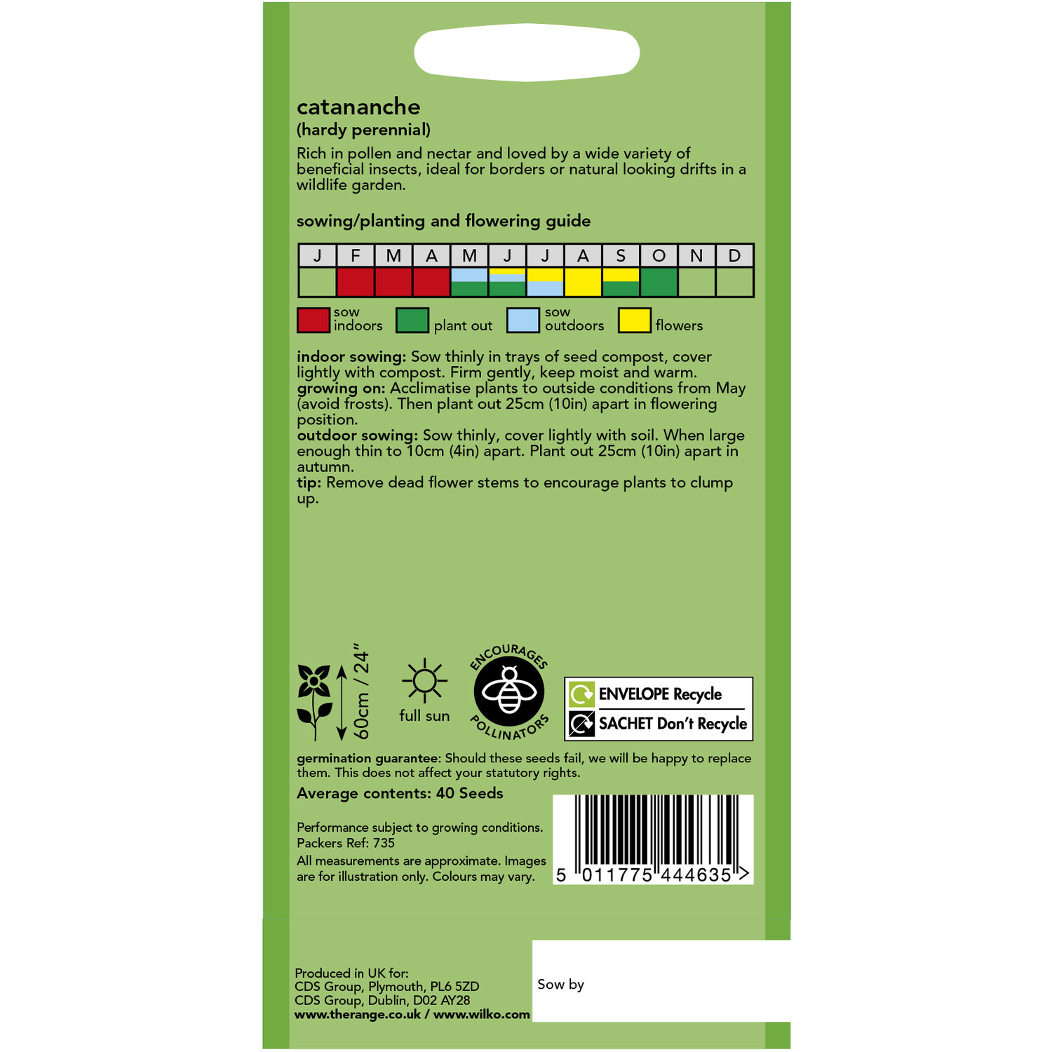 Wilko Catanache Seeds Image 2