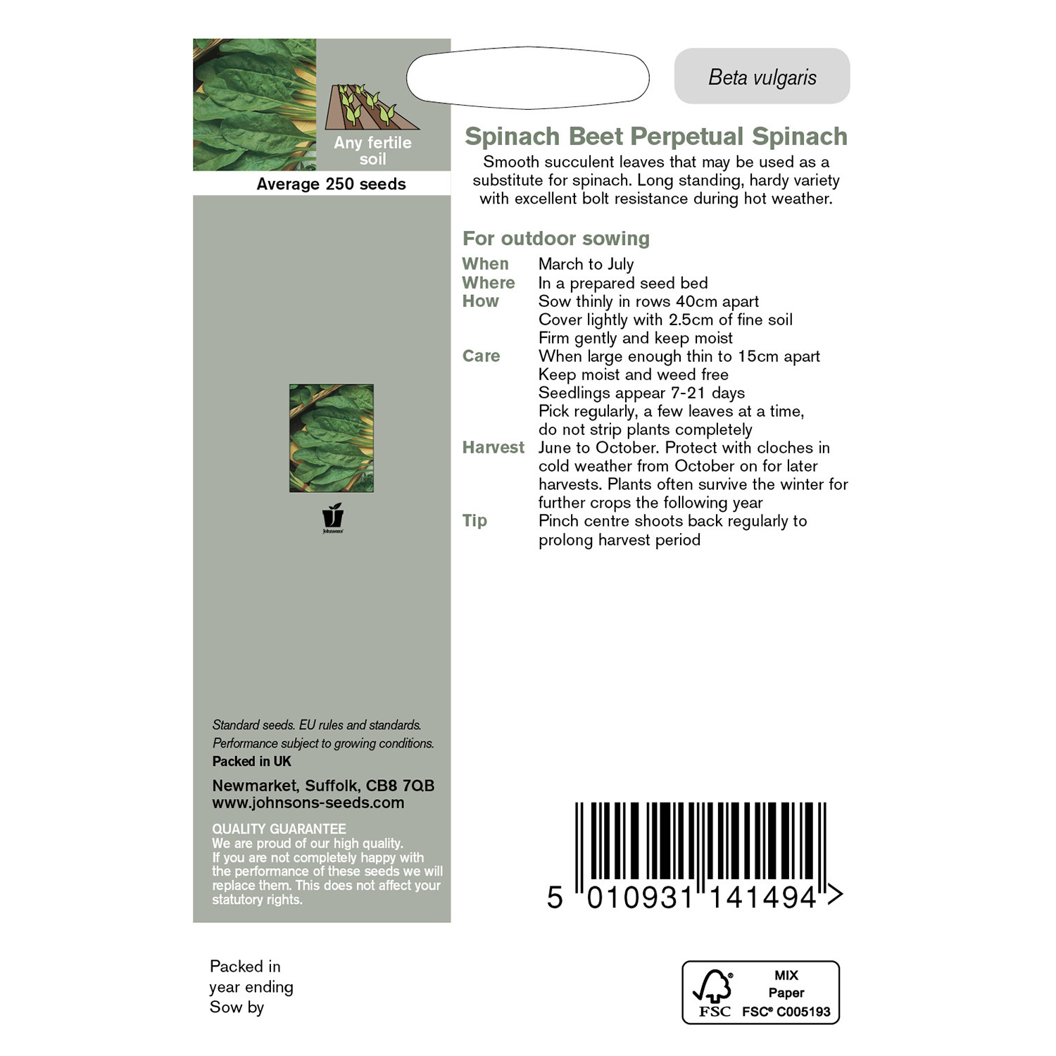 Johnsons Perpetual Spinach Beet Seeds Image 3