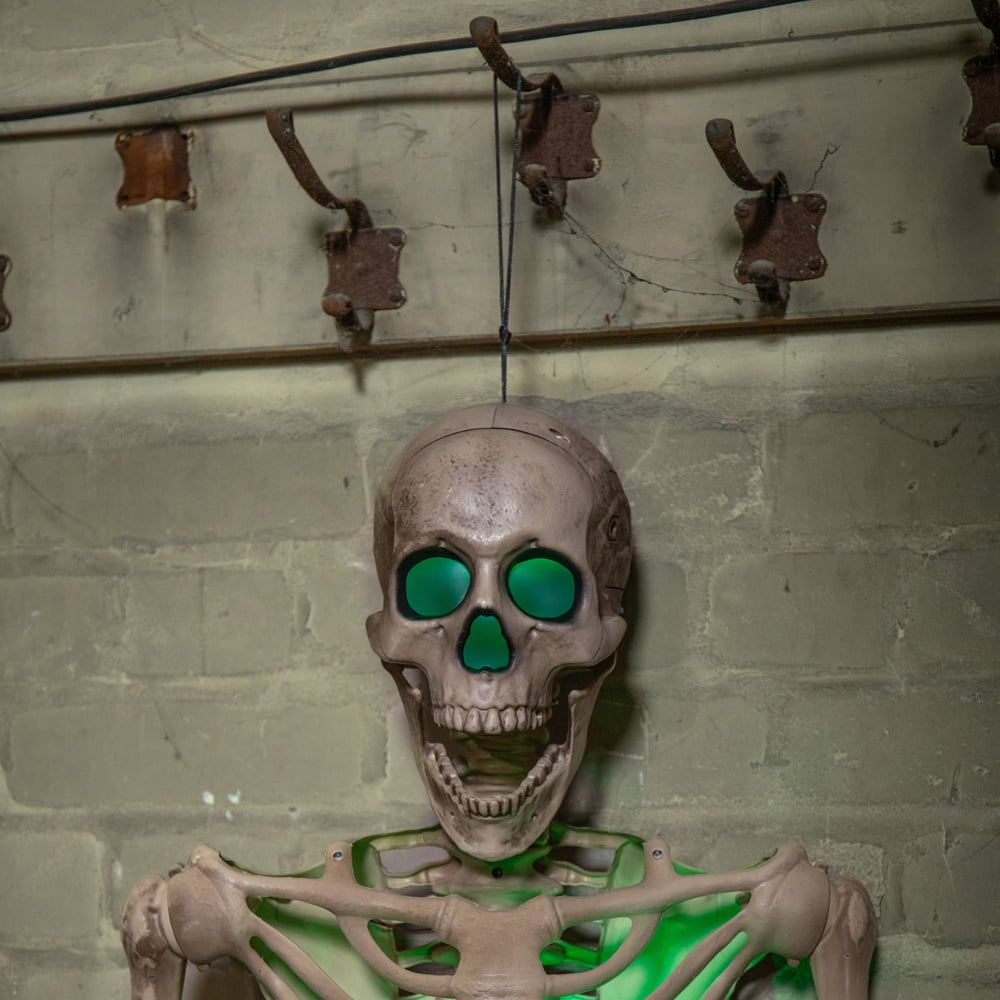 Samuel Alexander Green LED Battery Powered Skeleton Halloween Decoration 5ft Image 4