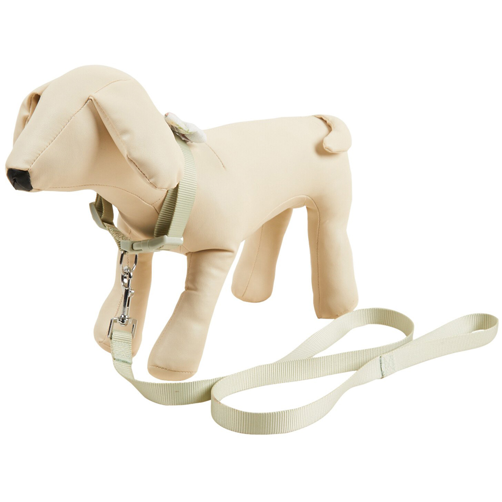 Floral Collar Lead and Bow Set - Green / Medium Image 1