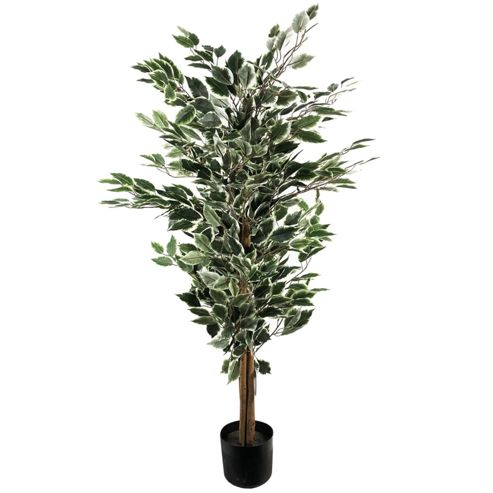 Leaf White and Dark Green Bushy Artificial Ficus Tree in Pot 130cm Image 1