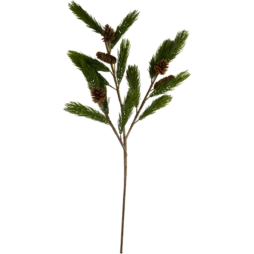Natural Pinecone Branch Image 1