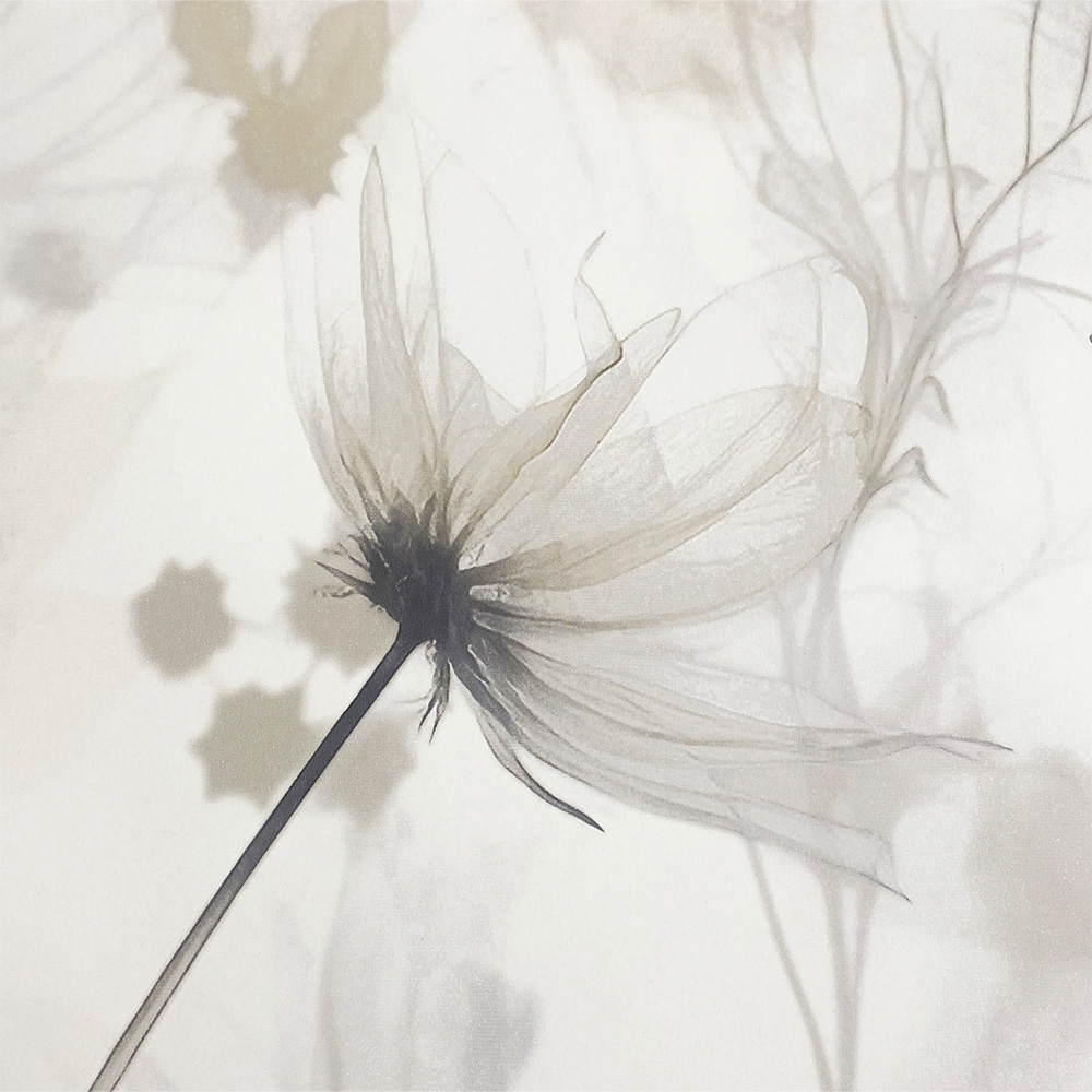 Muriva Lissa Flowers Cream Wallpaper Image 4