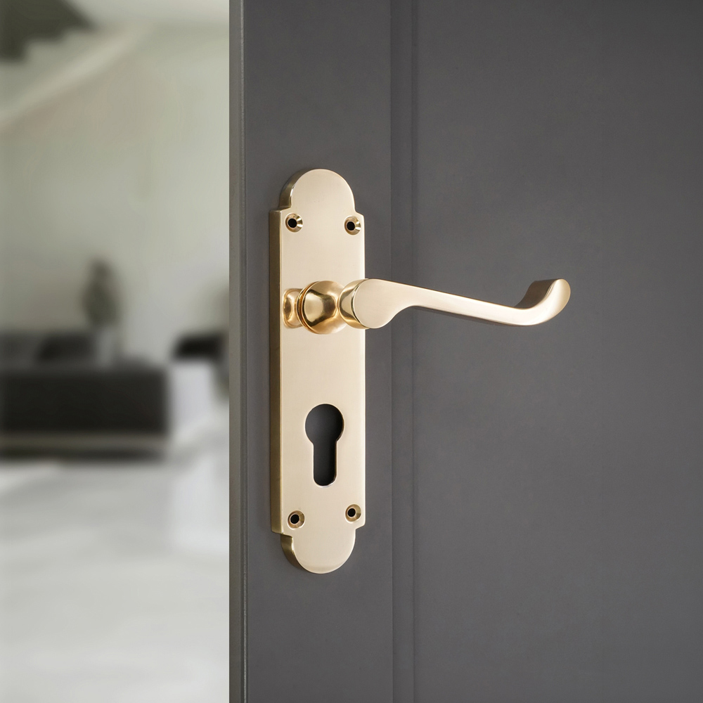 Spira Brass Oakley Polished Brass Lever on Backplate Door Handle with Euro Keyhole 2 Pack Image 2