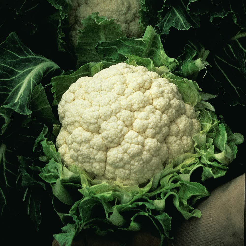 Thompson & Morgan Cauliflower Walcheren Winter Seeds Image