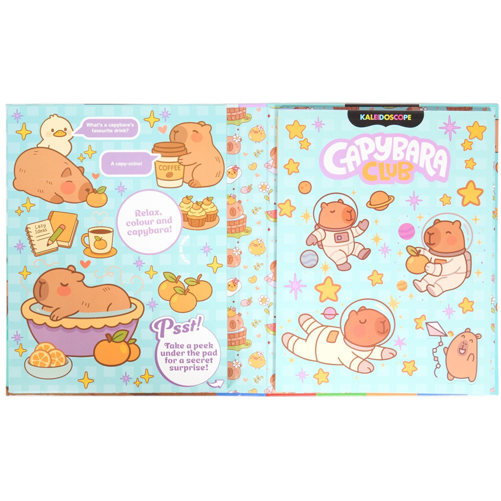 Kaleidoscope Capybara Club Colouring Kit Image 2
