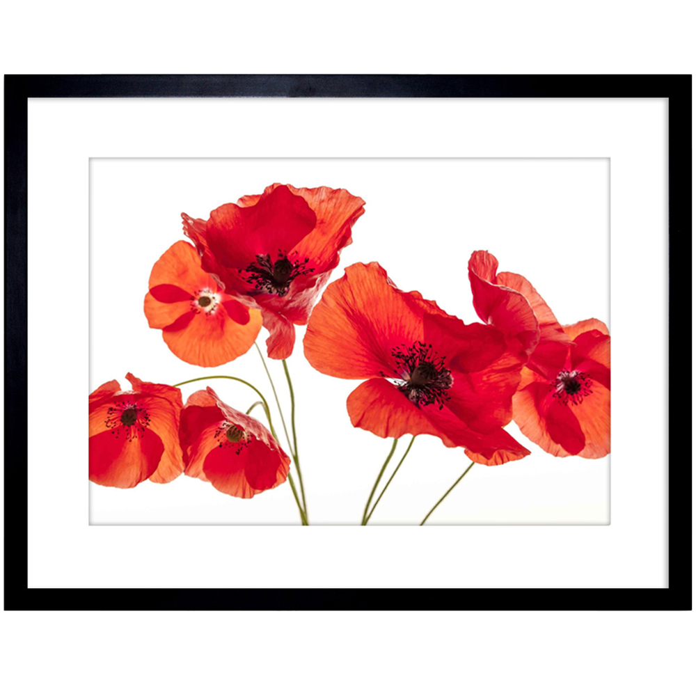 Wee Blue Coo Poppy Heads Red Petals Framed Wall Art Print 23 x 18cm Image 1
